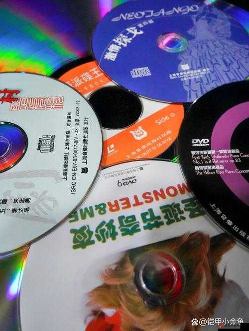 探寻高清 DVD 碟片生活片：揭示隐藏的娱乐世界